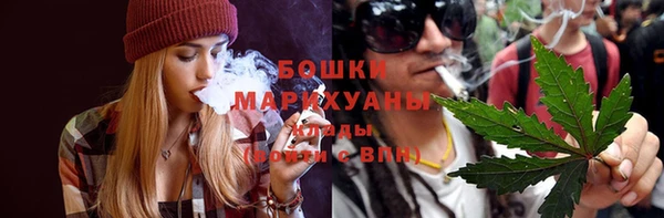 PSILOCYBIN Беломорск
