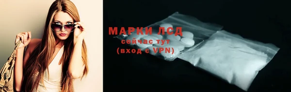 прущие грибы Белокуриха
