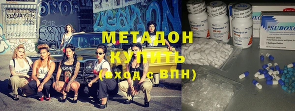 прущие грибы Белокуриха