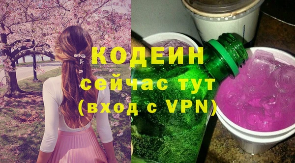 прущие грибы Белокуриха