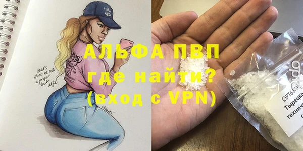 прущие грибы Белокуриха