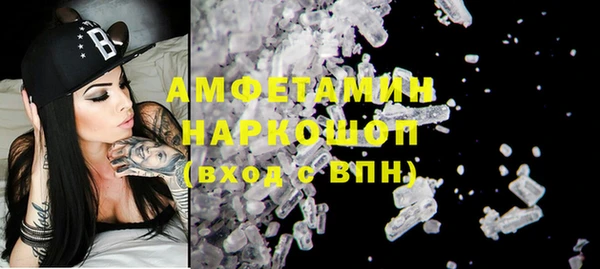 прущие грибы Белокуриха