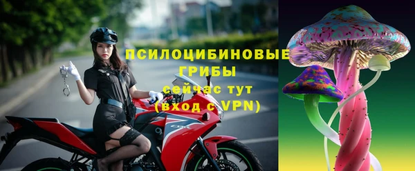 амф Белоозёрский