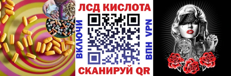 где купить наркотик  Гусев  ЛСД экстази ecstasy 