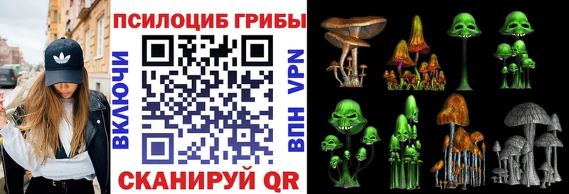 Галлюциногенные грибы Magic Shrooms  Гусев 