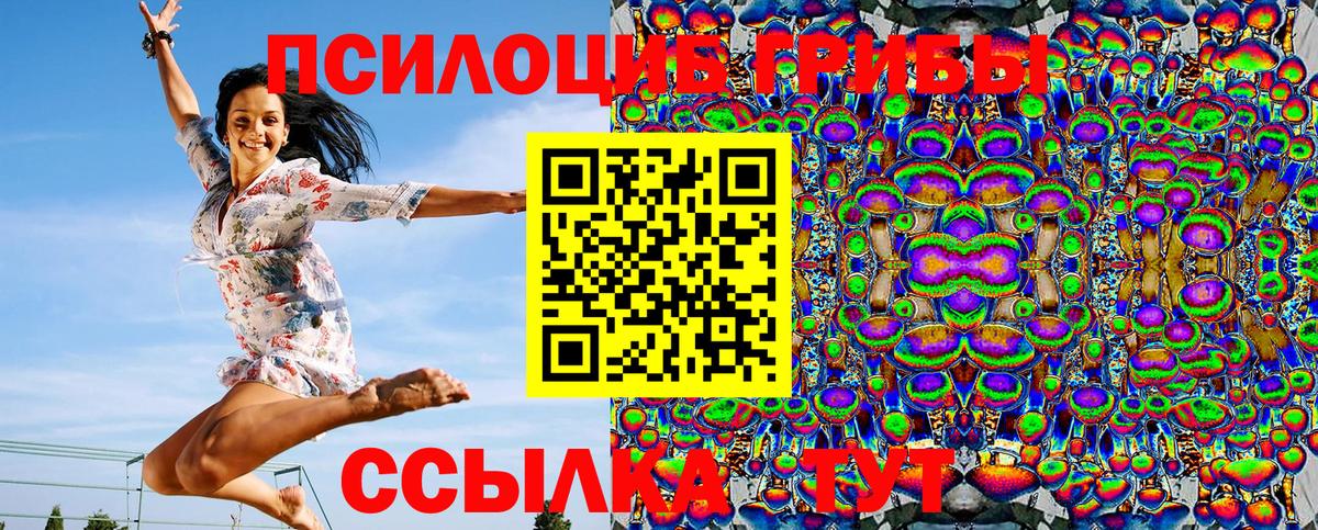 Гусев  Псилоцибиновые грибы мицелий  Вход с VPN  Галлюциногенные грибы мухоморы 