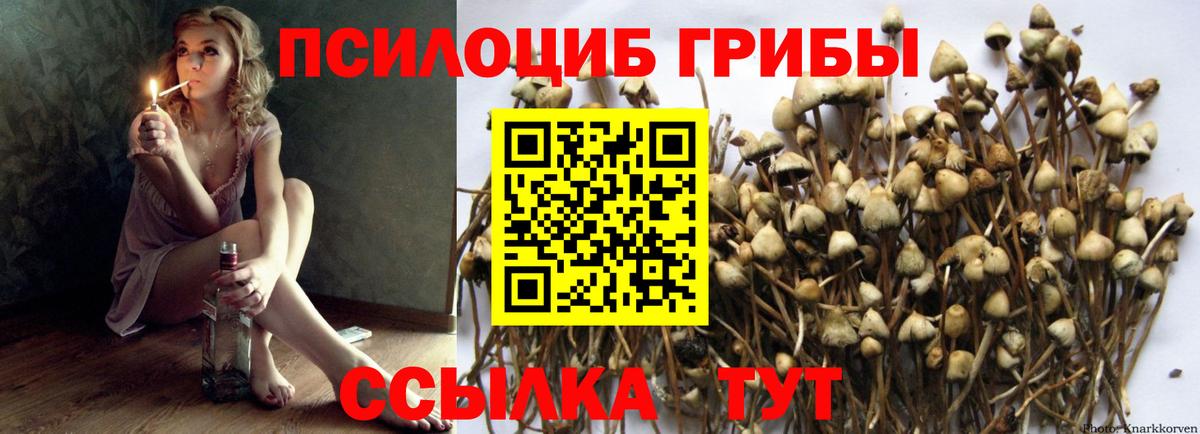 Псилоцибиновые грибы мухоморы Гусев